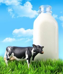 Milk bottle in the grass with blue sky